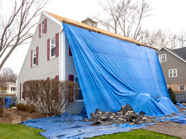 Best Shed Removal  in Kingston, WA